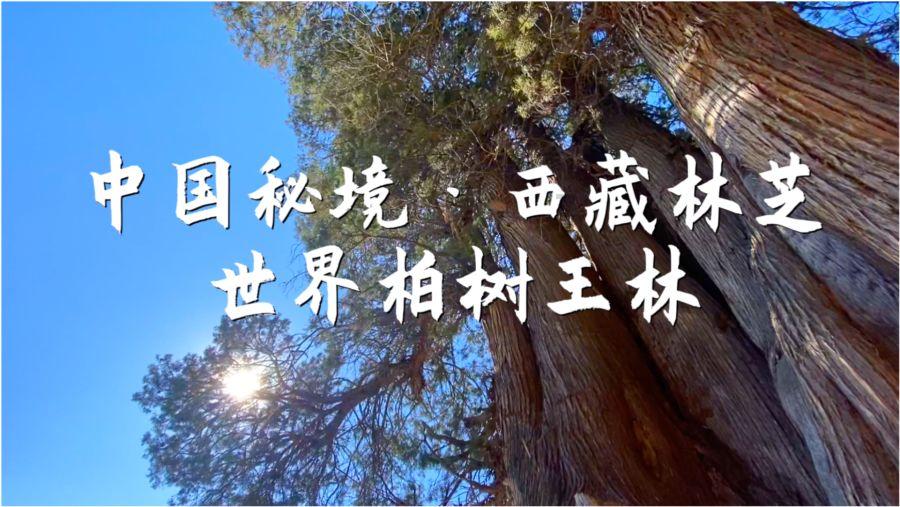 上江边境派出所召开“3254”工作机制进场所暨2024年行业场所管理工作会议